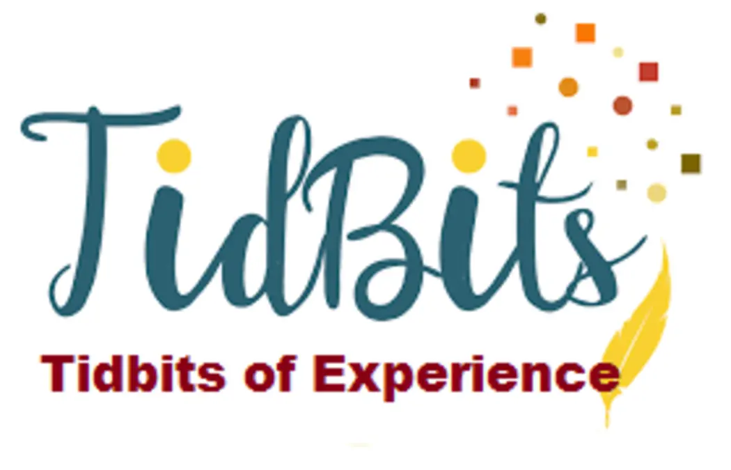 Tidbits of Experience