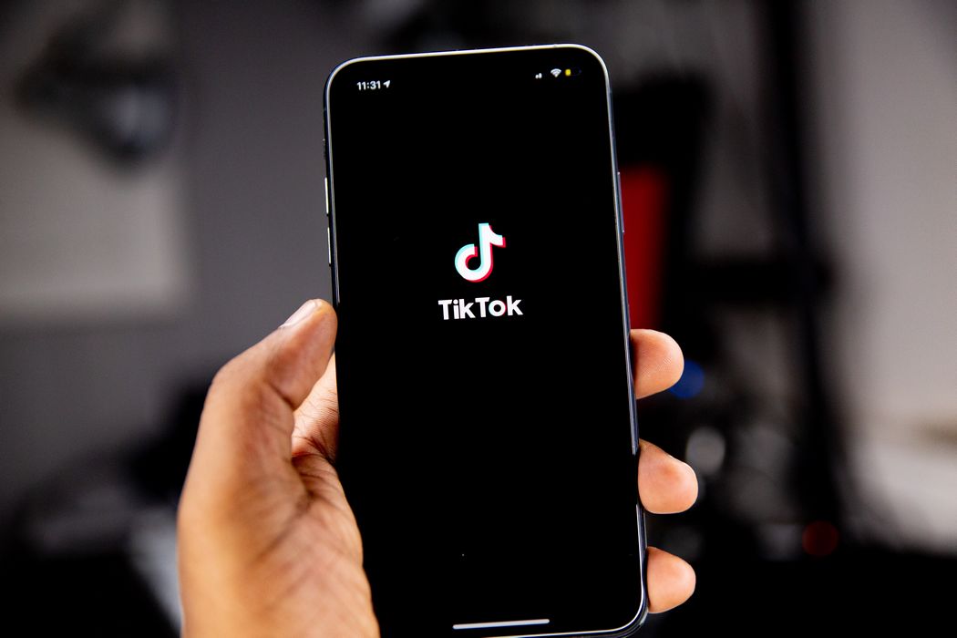 TikTok Friends